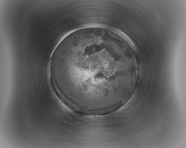 X0000116481244200912161246