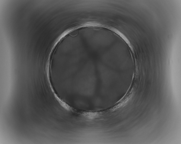 X0000116481245200912161246