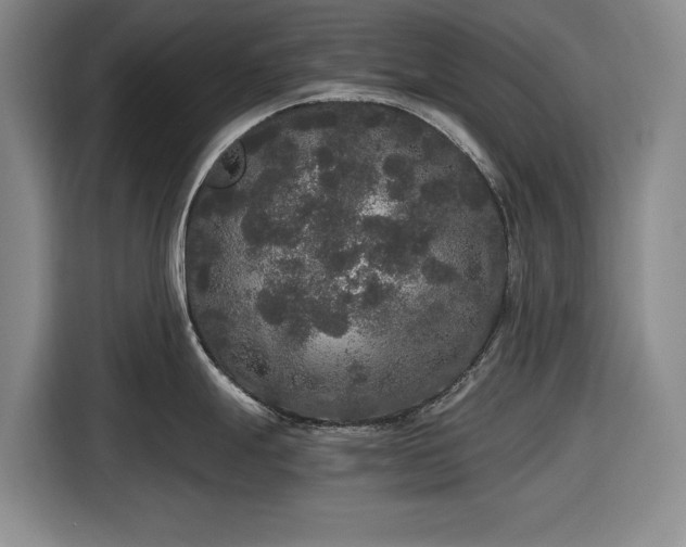 X0000116481247200912161246