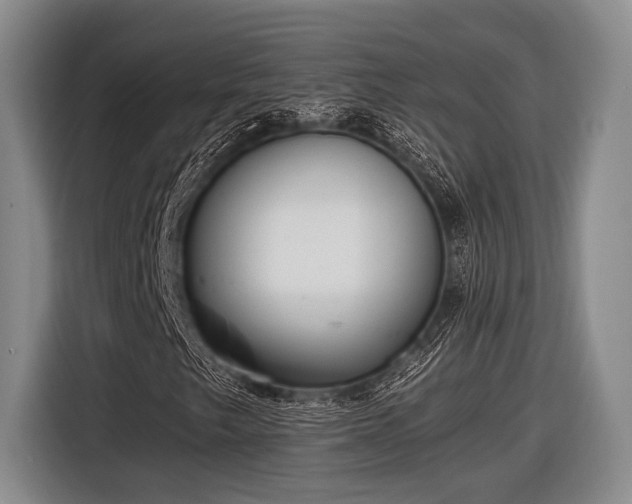 X0000116481249200912161245