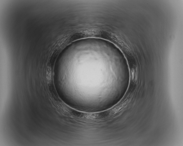 X0000116481251200912161245