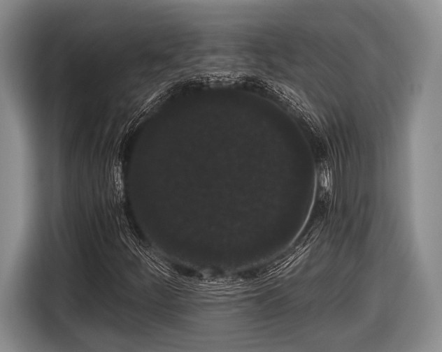 X0000116481252200912161245