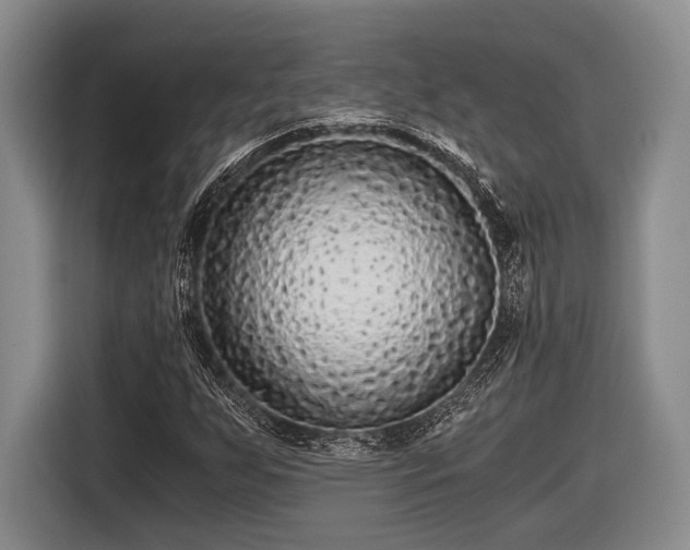 X0000116481255200912161245