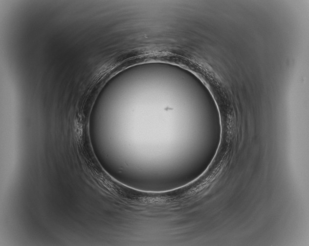 X0000116481257200912161245