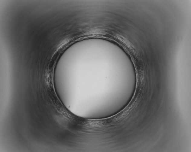 X0000116481258200912161245