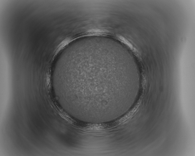 X0000116481259200912161245