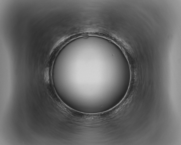 X0000116481262200912161245