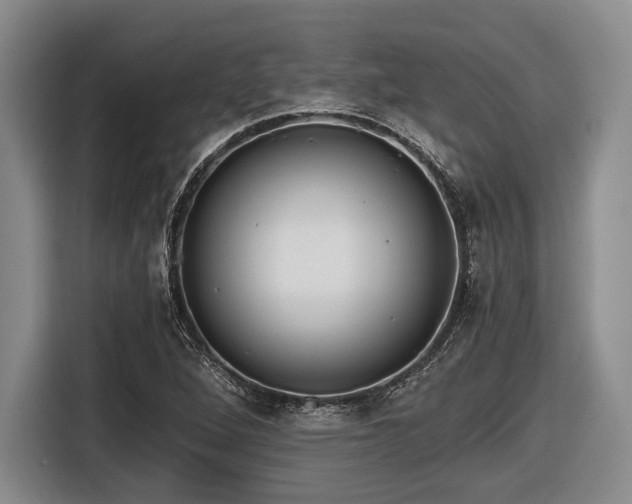 X0000116481264200912161245