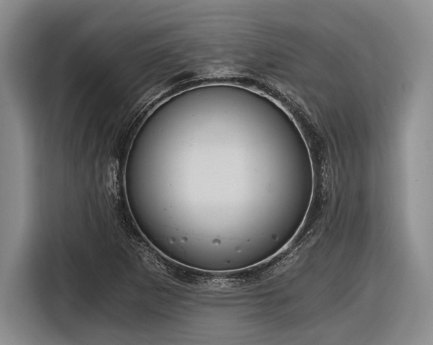 X0000116481265200912161245