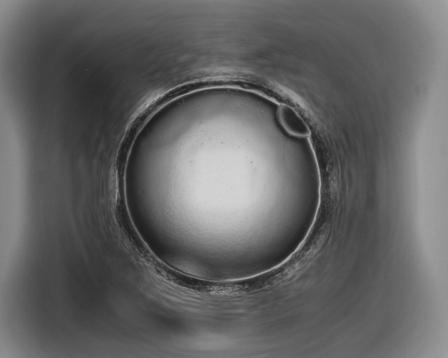 X0000116481267200912161245