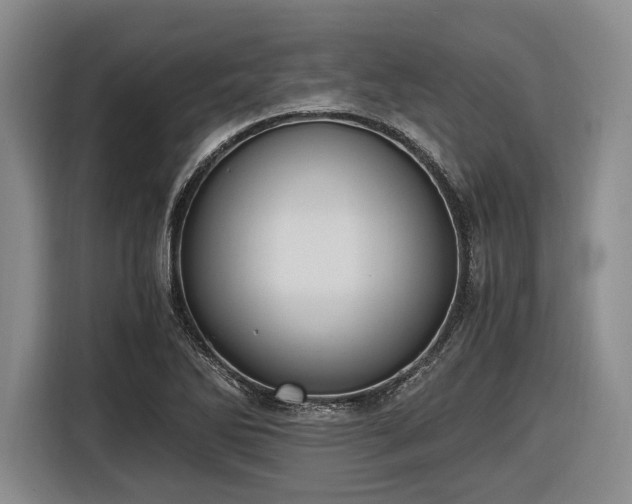 X0000116481270200912161245