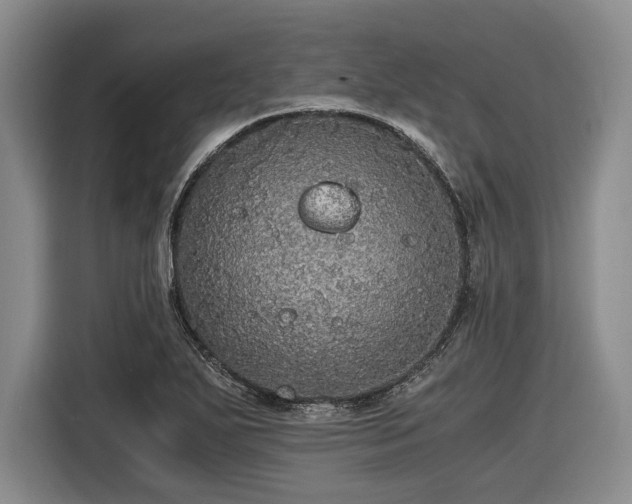 X0000116481271200912161245