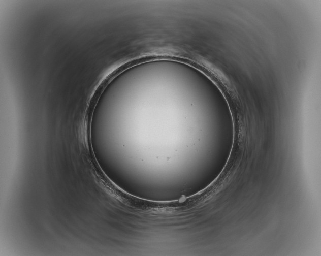 X0000116481272200912161245