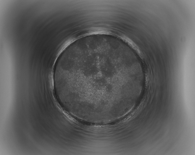 X0000116481274200912161245