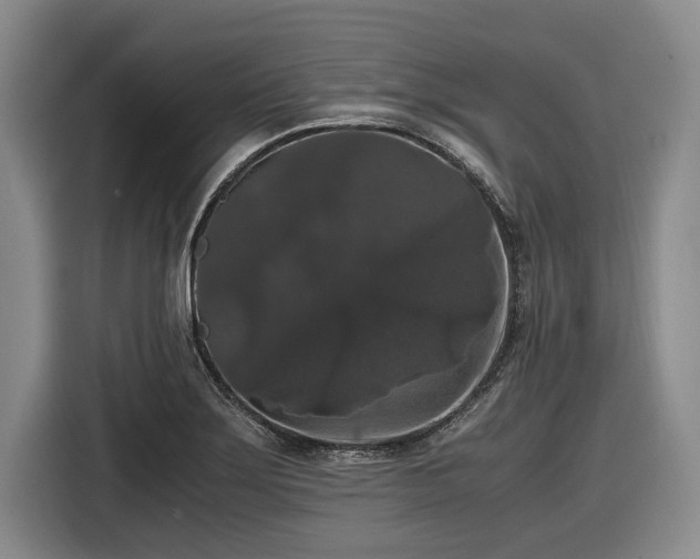 X0000116481275200912161245