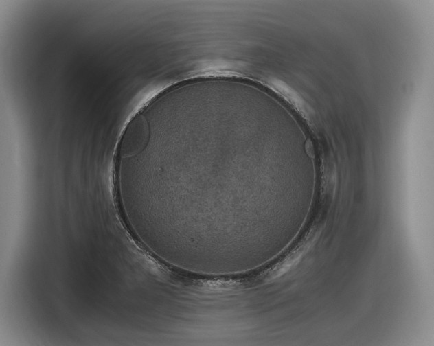 X0000116481277200912161245