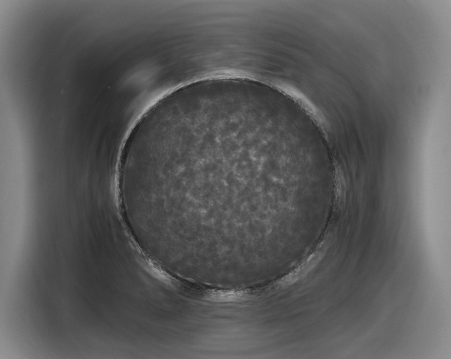 X0000116481278200912161245