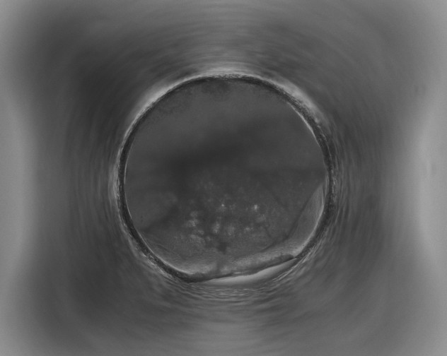 X0000116481279200912161245