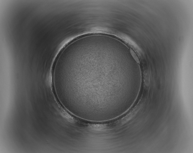 X0000116481280200912161245