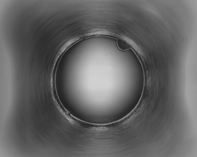 X0000116481282200912161245