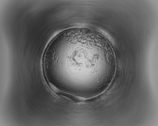 X0000116481283200912161245