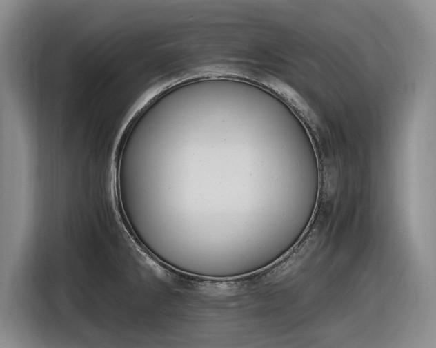 X0000116481286200912161245