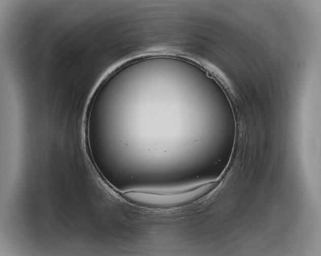 X0000116481288200912161245