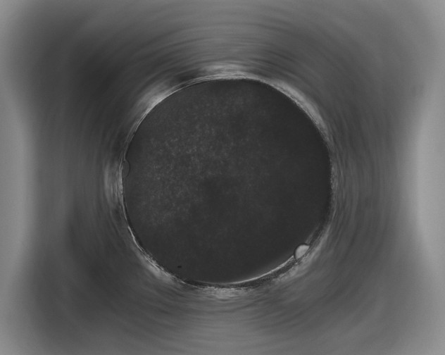 X0000116481289200912161245