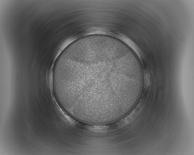 X0000116481290200912161245