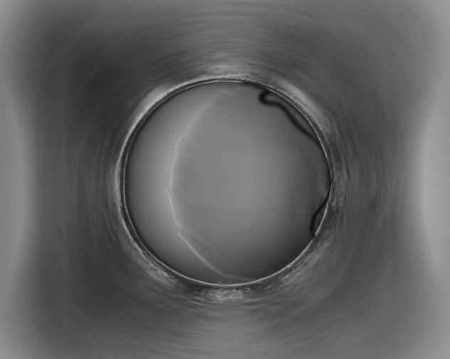 X0000116481291200912161245