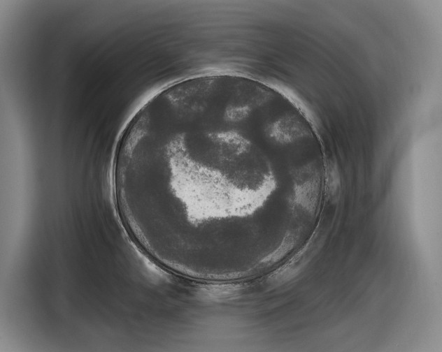 X0000116481294200912161245