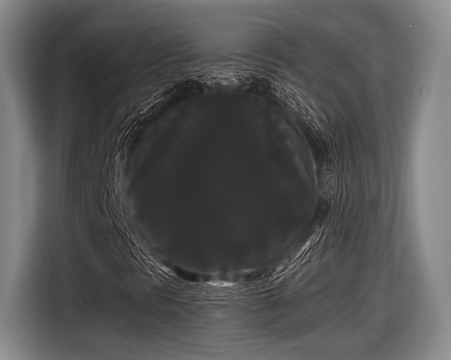 X0000116481297200912161244