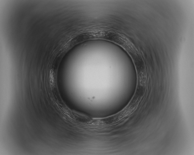 X0000116481298200912161244