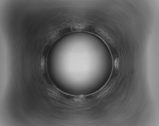 X0000116481299200912161244