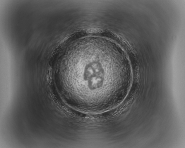 X0000116481301200912161244