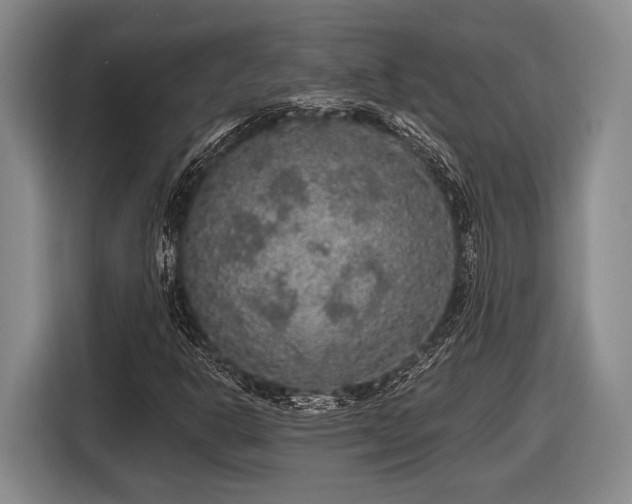 X0000116481302200912161244