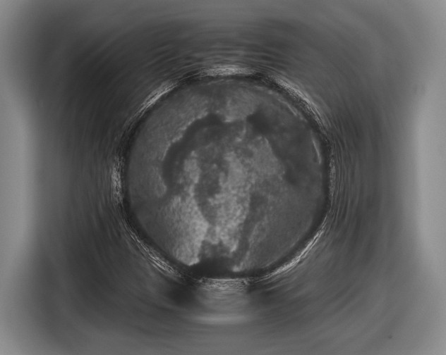 X0000116481305200912161244