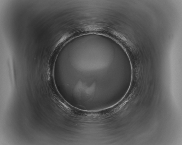 X0000116481306200912161244