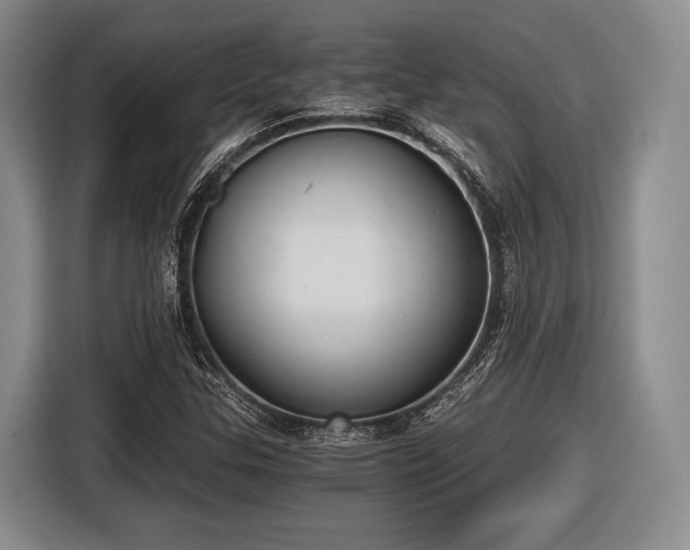 X0000116481307200912161244