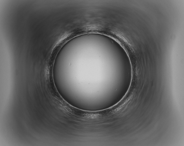 X0000116481309200912161244