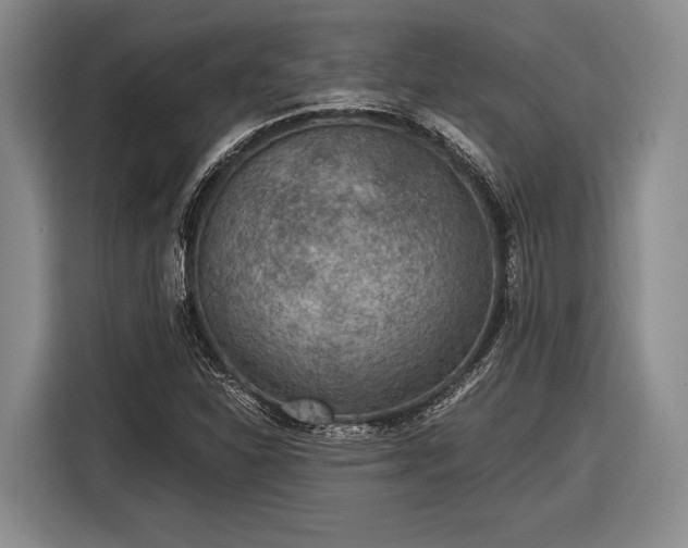 X0000116481310200912161244