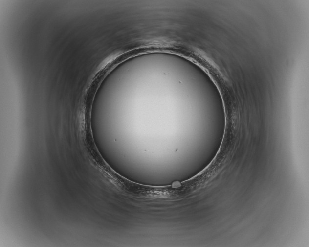 X0000116481315200912161244