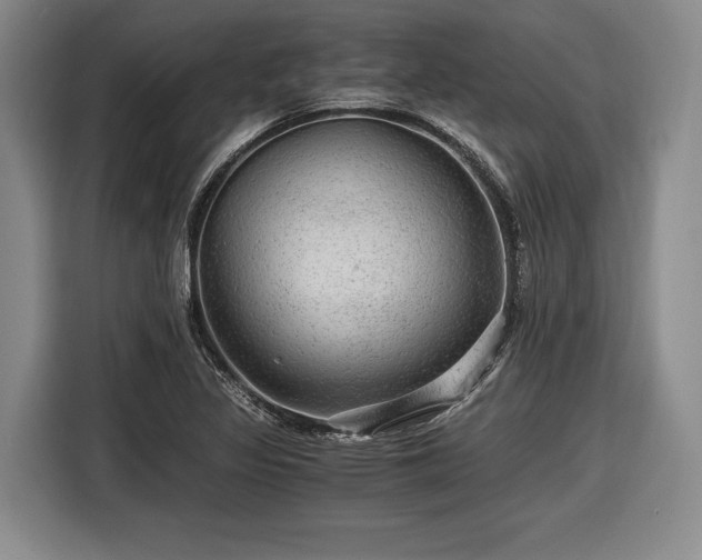 X0000116481317200912161244