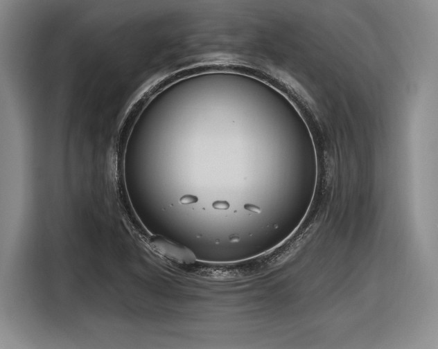 X0000116481318200912161244