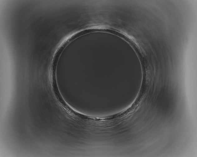 X0000116481319200912161244