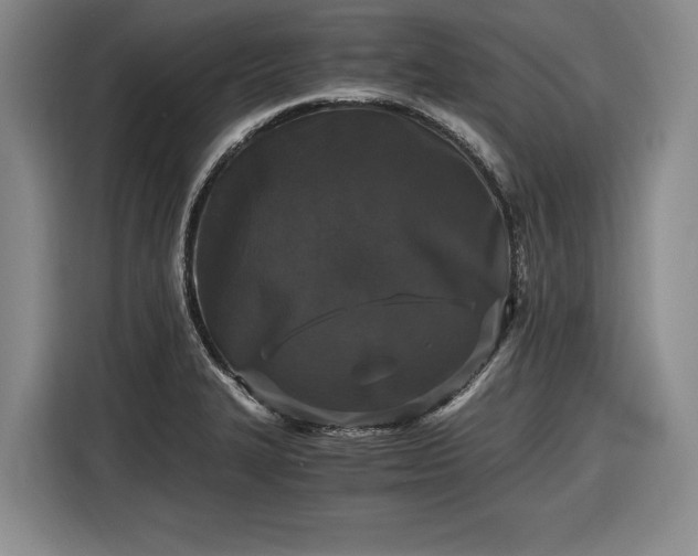 X0000116481327200912161244