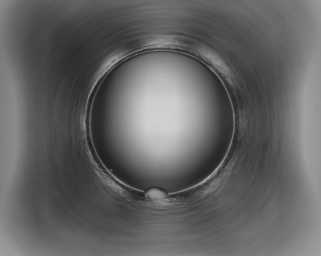 X0000116481330200912161244