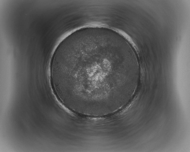 X0000116481335200912161244