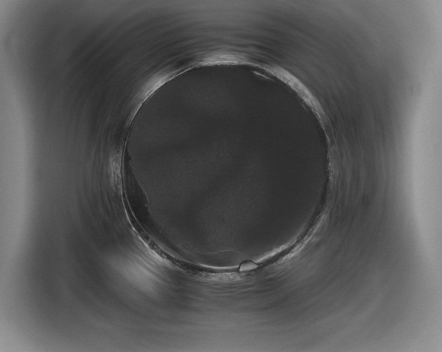 X0000116481337200912161244