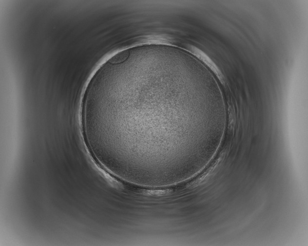 X0000116481339200912161244